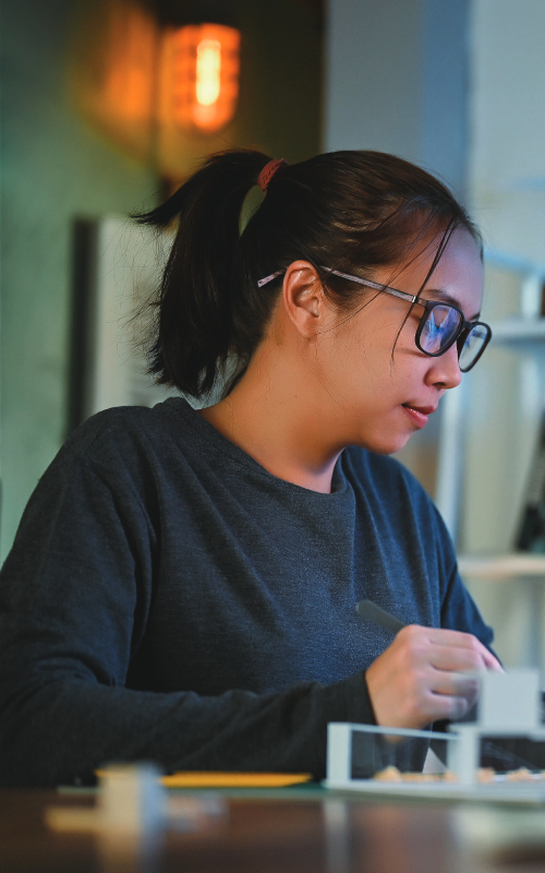 Ingénieur Informatique et Electronique