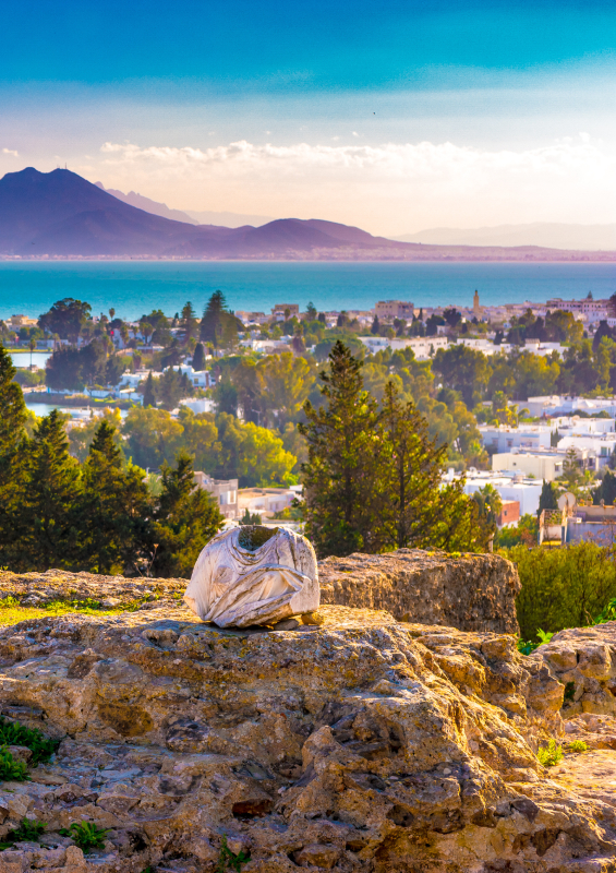 International : universités partenaires en Afrique - ESEO