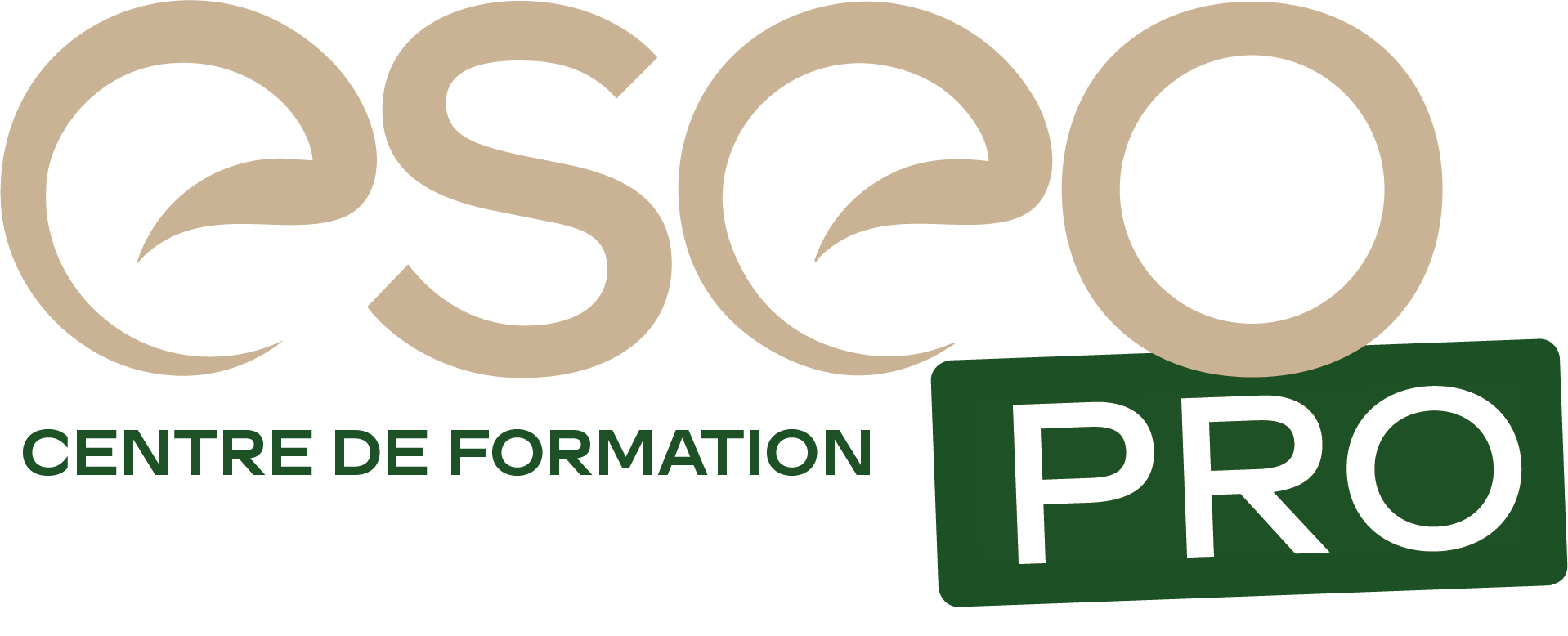 ESEO Pro, le nouveau centre de formation aux métiers du digital à Angers